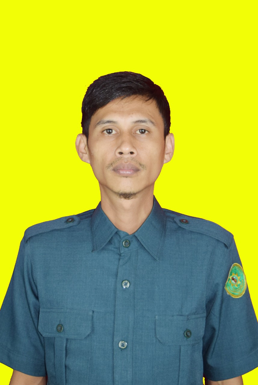 Pak Budi